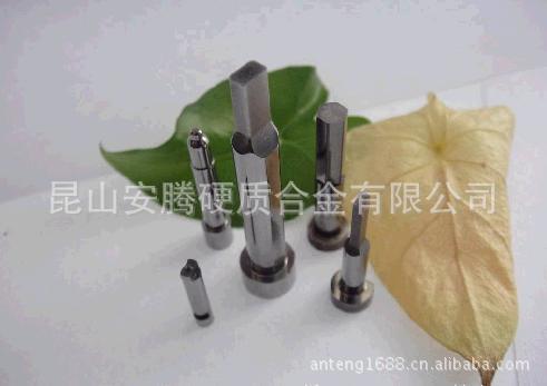 苏州供应优质精密钨钢冲头/刀削/刃口成型冲头/异形冲头/异形冲针