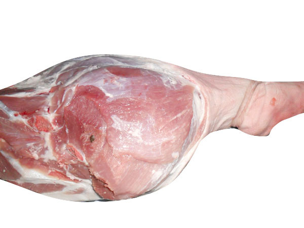 【供应】优质猪腿批发 猪前后腿肉 厂家直销 量