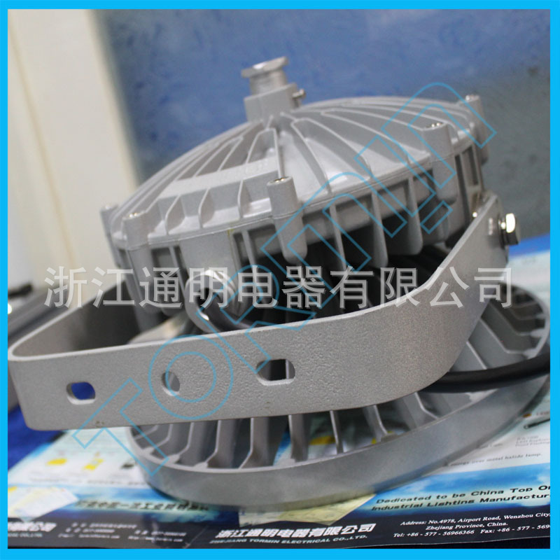 ZY9710大功率LED照明灯2