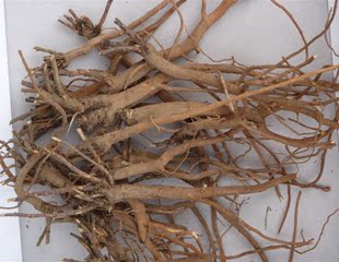 陇西地产优质柴胡 直销批发 植物原药材产地批发
