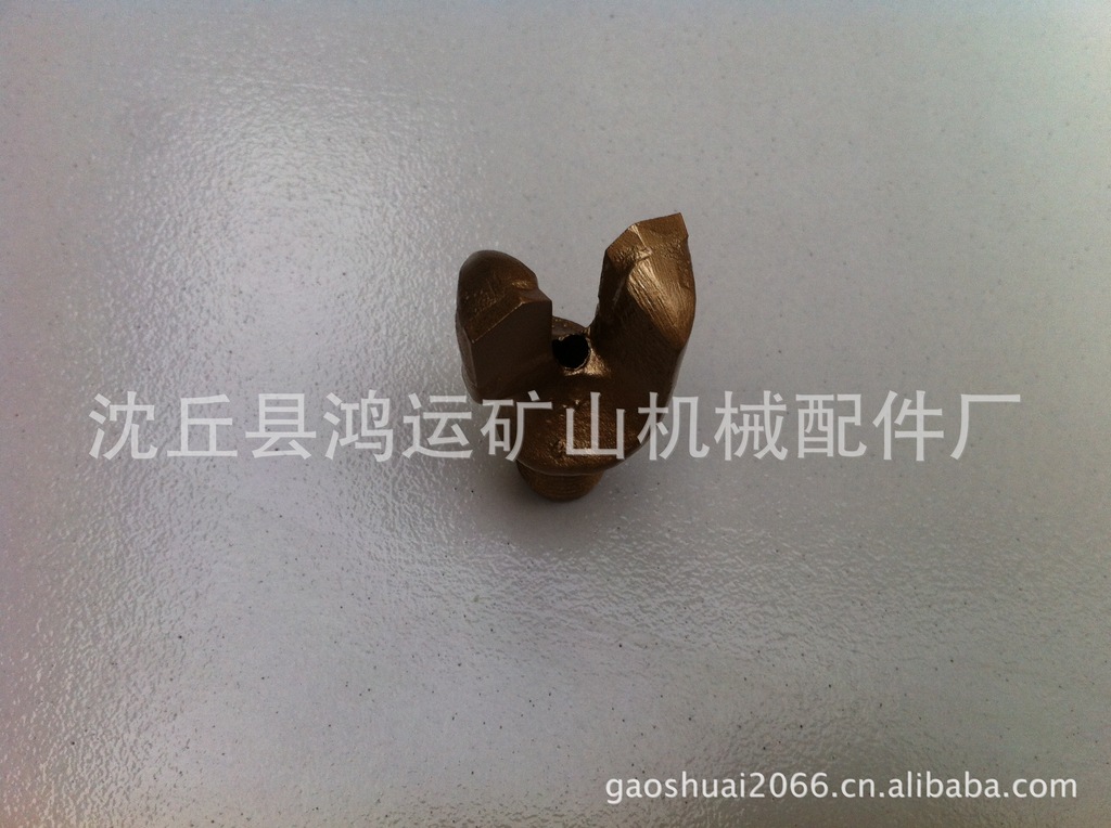 2139_375951649_IMG_1221