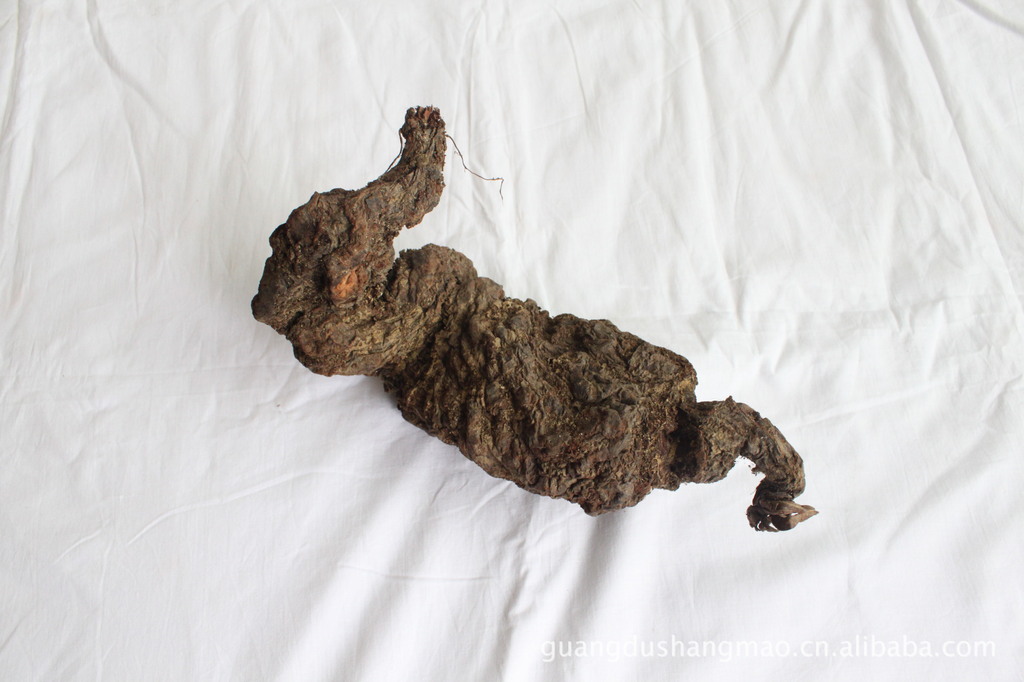 用于瘰疠疮痈,风疹瘙痒的何首乌图片,用于瘰疠