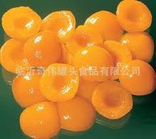 出口欧洲 杏罐头 金太阳 3000g 新品上市，大量供应