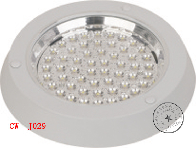LED灯厨卫灯节能灯大功率灯正白暖白灯装饰灯