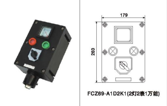 FCZ69-两灯一表一开关