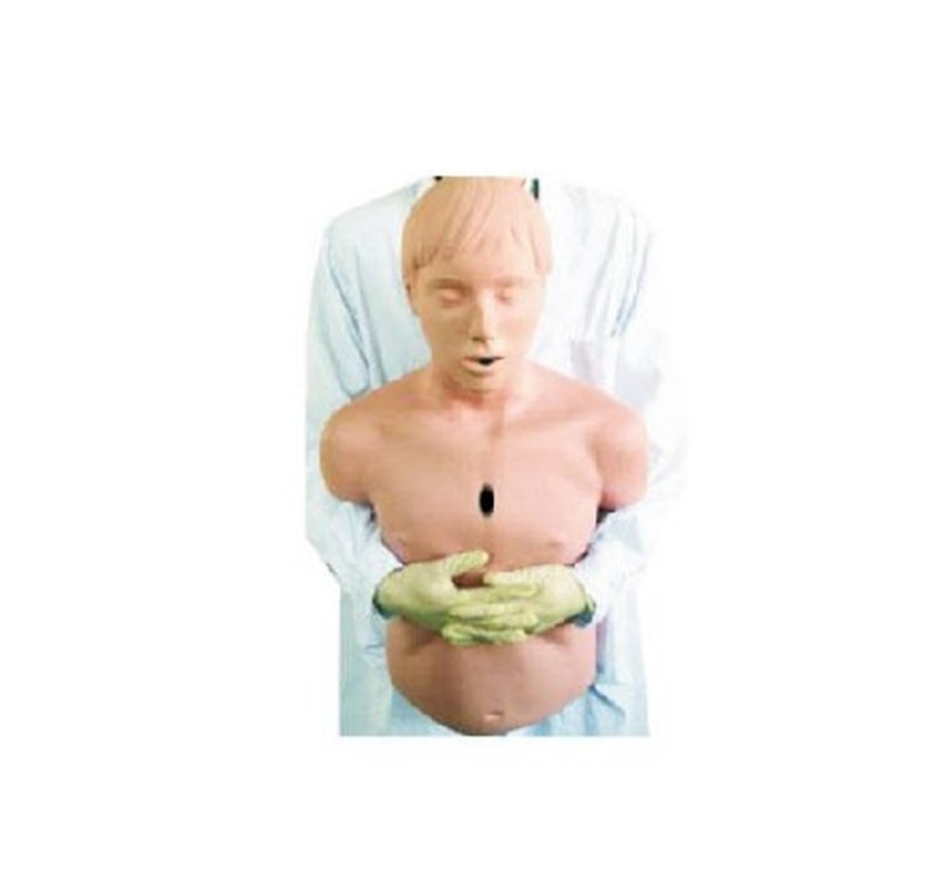 【高级成人气道梗塞及CPR模型 急救模型 CP