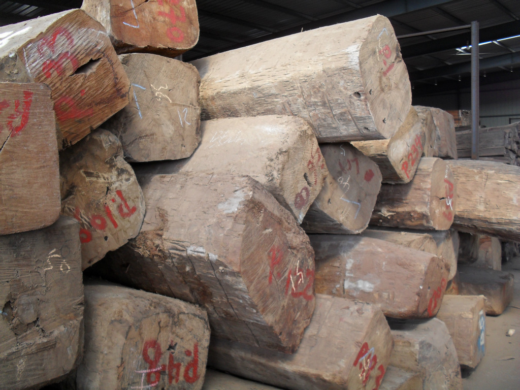 缅甸花梨、大果紫檀、鸟足紫檀 _ 缅甸花梨、