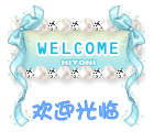 欢迎光临