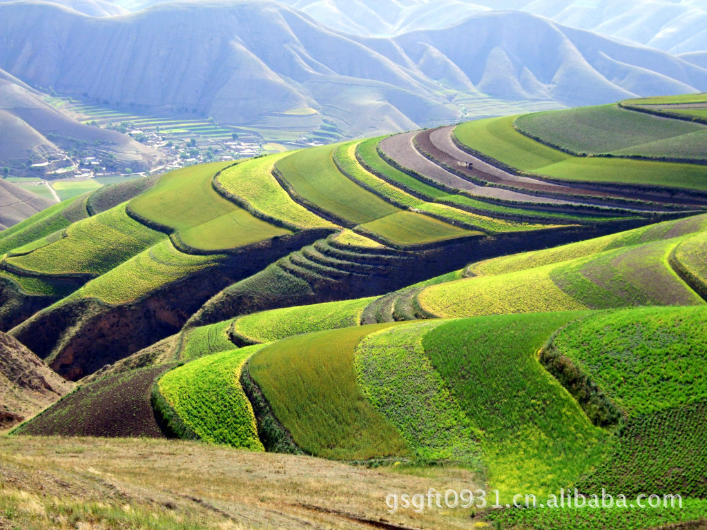 周新刚摄影20080717