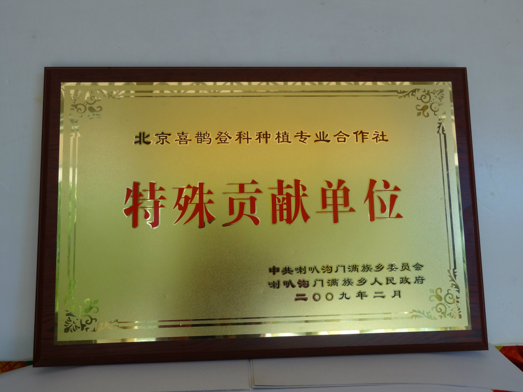 【怀柔土特产 压炸山核桃油 野生核桃油】