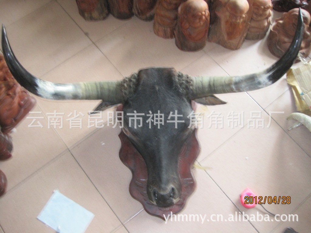 图腾摆件批发 神牛角品牌非洲角牦牛头架 酒店玄关装饰牛角摆件