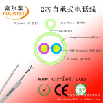 ����̩�绰�� 4о��ͭ 100��