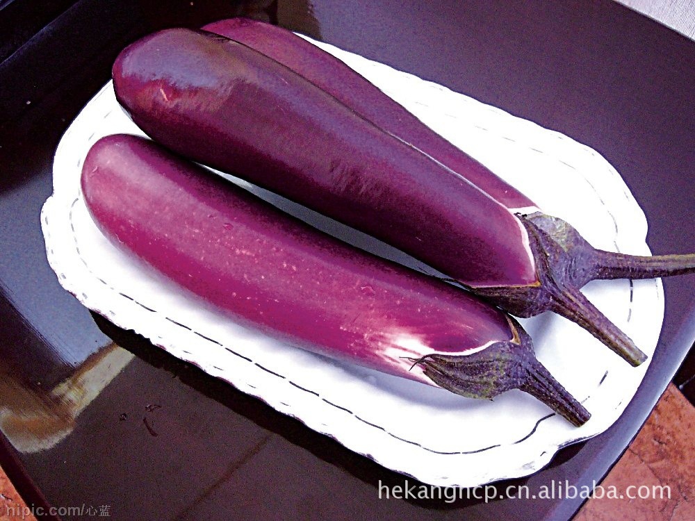 【【健康保证】供应优质新鲜蔬菜茄子】价格,