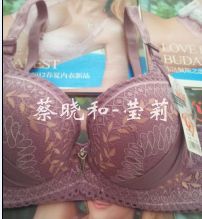 厂家直销2012秋冬最新款B杯型<em>莹莉文胸</em>木瓜子