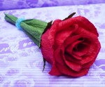 õ�廨 ֽ��õ�� ����õ�� ��������Ʒ ������Ʒ���� ĸ�׽�