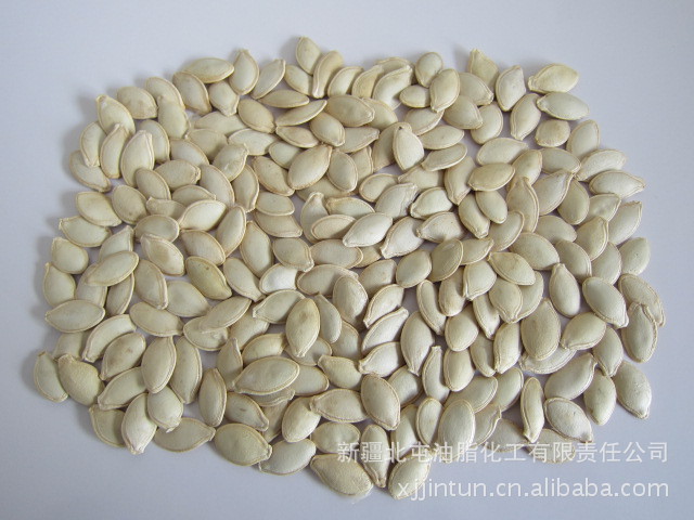 【大量批发 农业类坚果 生瓜子南瓜籽 精品南瓜