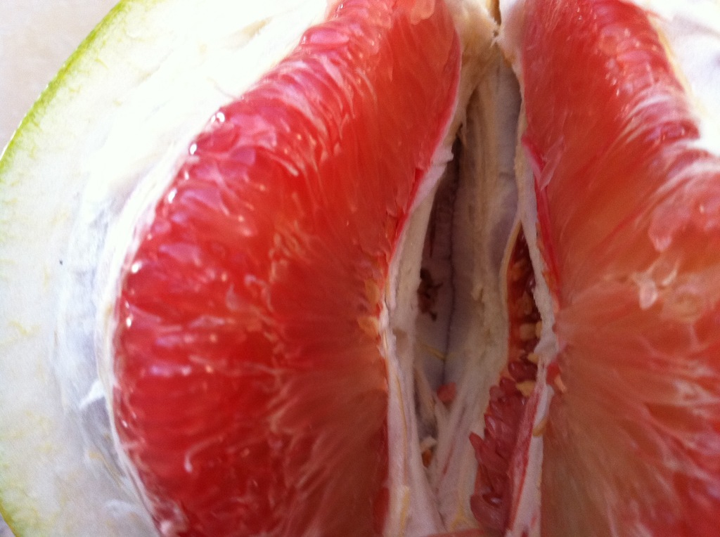 【红心蜜柚 红肉蜜柚 柚子果树苗】价格,厂家,图