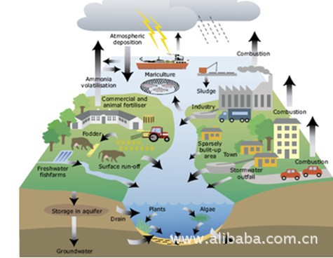 人类已经无法阻止水污染了?