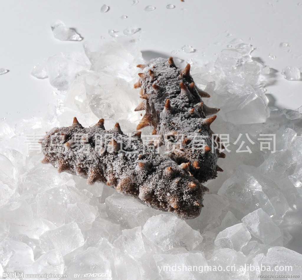 长期批发纯淡干海参 野生海参 无添加海参 海参