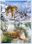 精美立体的立体画 40*60PET两变立体画 BT0333 老虎变图立体画