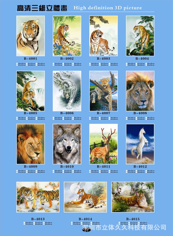 37)三维立体画册
