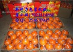 精品脐橙(水果)包装机套袋机-包装机