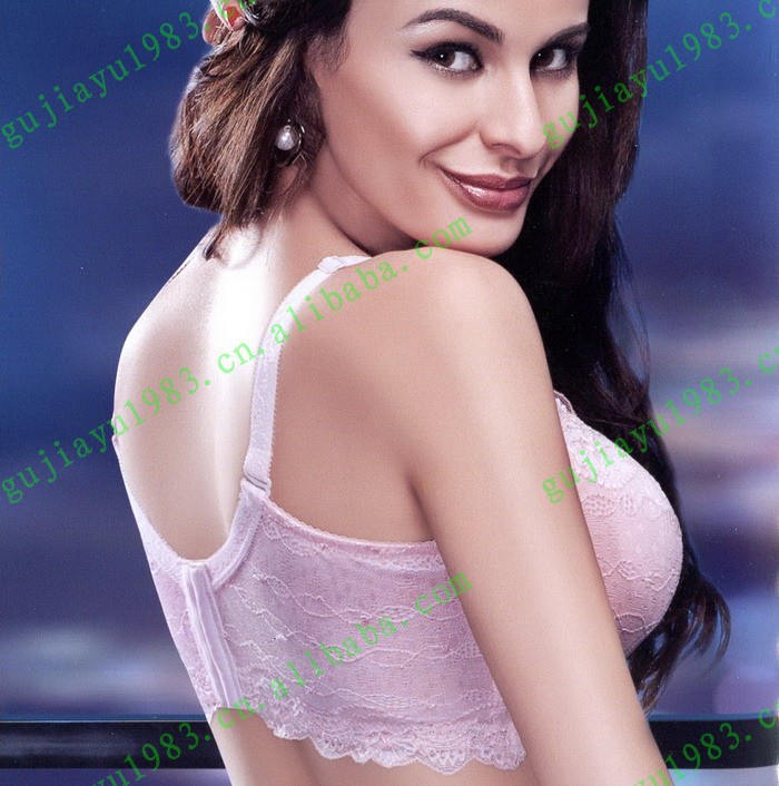 【供应批发 2012秋冬<em>新款</em> <em>倩丝莉文胸</em>232B4#