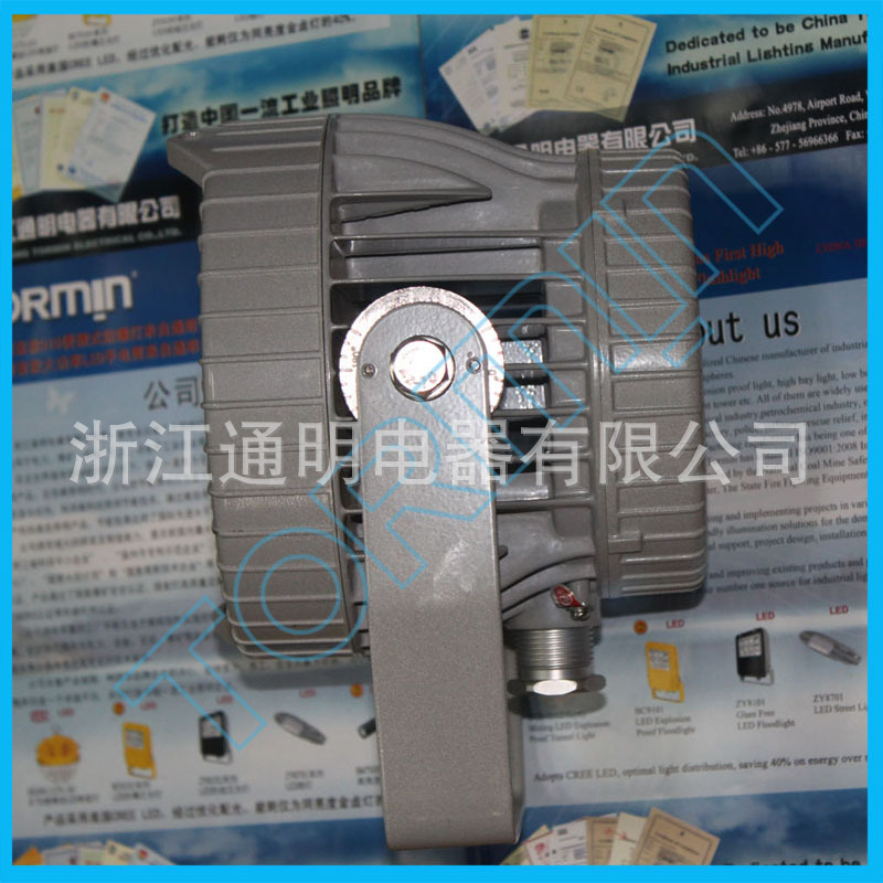 ZY8301LED投光灯侧面3