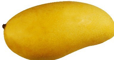 【10:1野生芒果籽提取物西安合健生物厂价供应