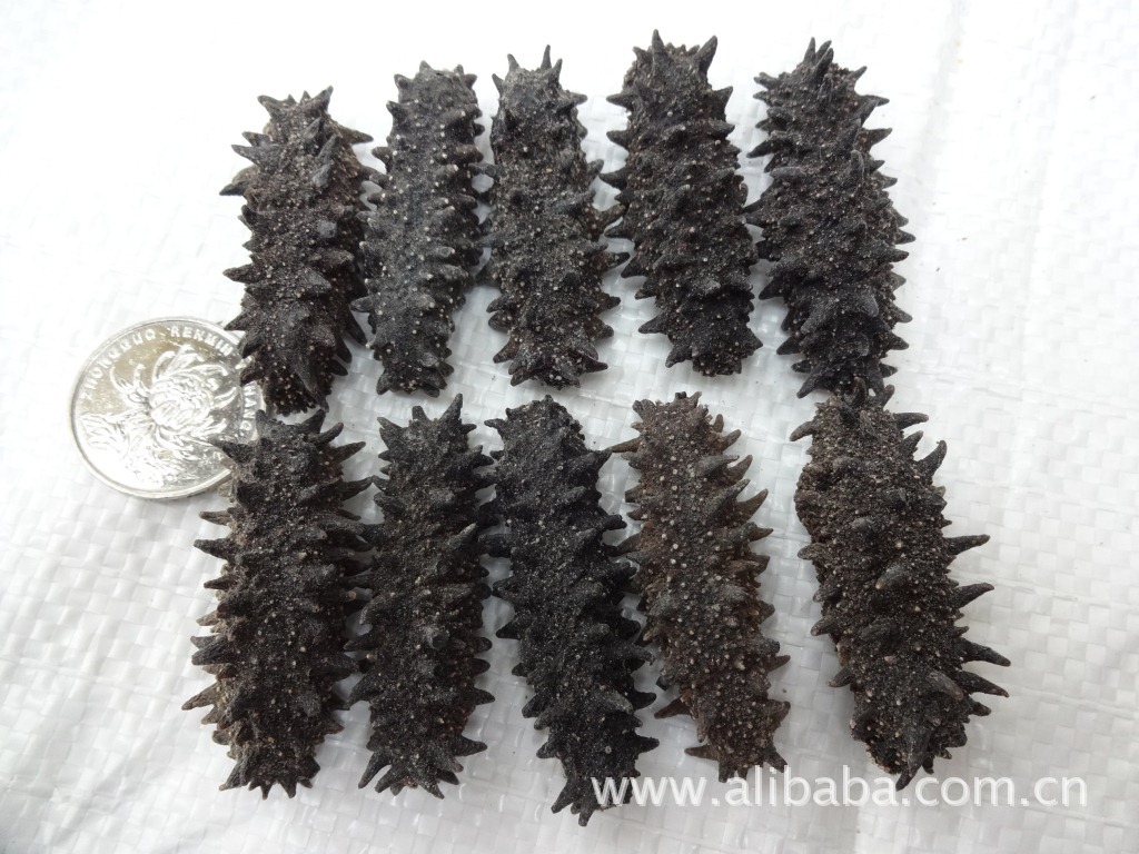 【关东辽参 80头 靓辽参】价格,厂家,图片,干制