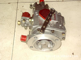 NT(A)855-C S10柴油机燃油泵4951519用于工程机械设备发动机SO15610