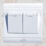 二位开关双控炫白系列
