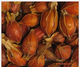 植物原药材-安徽和济堂批发供应水栀子 黄栀子 红栀子 产地直销-植物原药材尽在阿