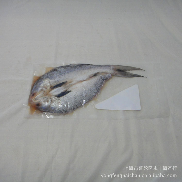 【深加工海产品 野生财神鱼 600克以上 售价35