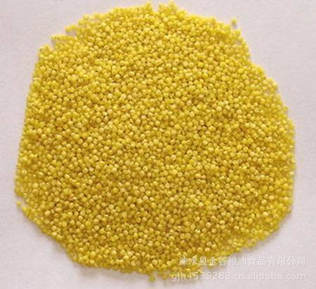 供应贡米 河北特产小米 黄小米 贡米 批发 优质贡米