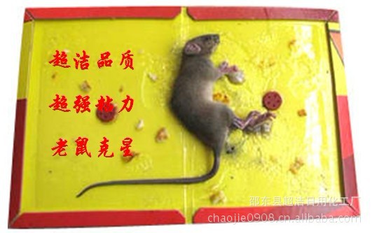 【强力】新一代高效、清洁、超强力粘鼠板图片