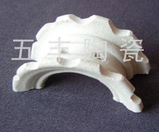 供應陶瓷異鞍環填料