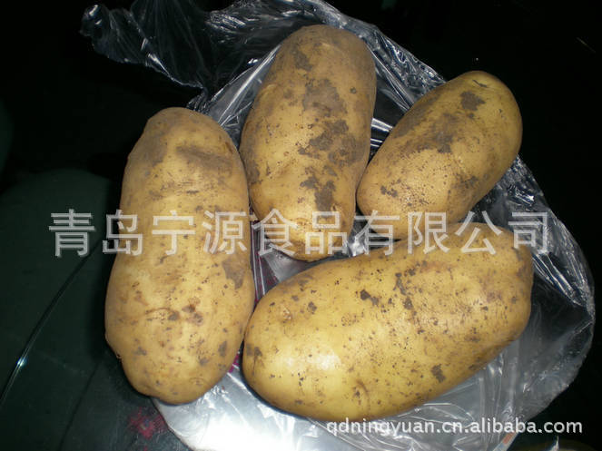 马铃薯 农产品多种优质荷兰土豆 量大从优图片
