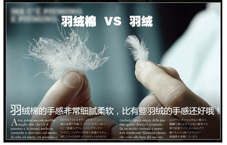 羽绒棉羽绒对比副本