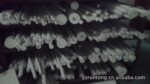 ���ķ���ϩ����PTFE������������