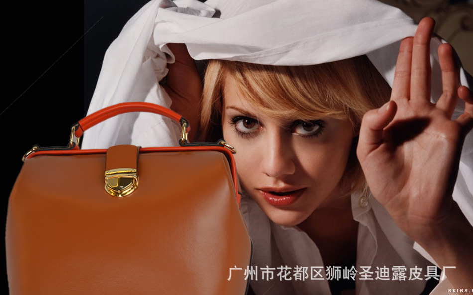 Сумка Shengdilu 8388 2013 Shengdilu Сумка Shengdilu 8388 2013 Shengdilu