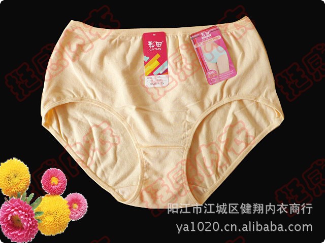 <em>彩田</em>阳江<em>总代理</em> 7005 正品 棉 加大码高腰三角