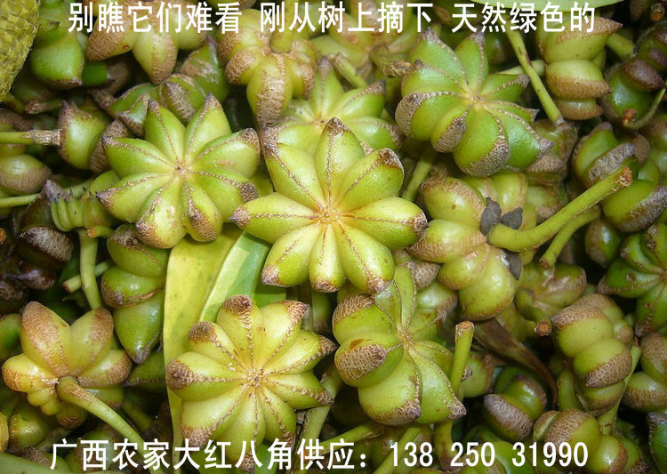 库存农产品-广西木格八角之乡八角茴香大茴香