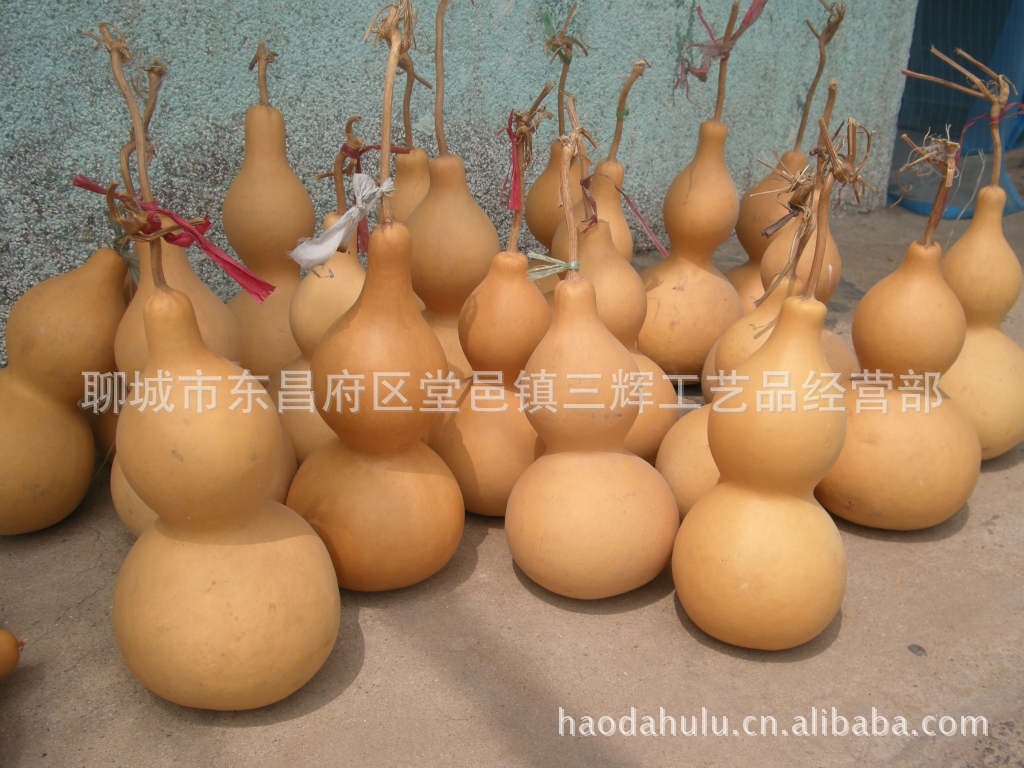 精品手捻葫芦 天然葫芦 盘玩葫芦美国转基