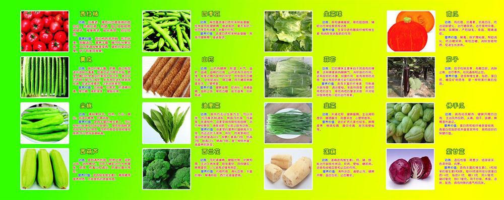 9海报展板办公装饰2967常见蔬菜的营养价值知