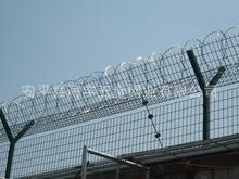 u=1949223112,565844799&fm=52&g