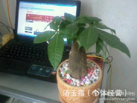 【<em>厂妹</em>论坛】 我来应聘图片<em>故事</em>写手了哦,我是