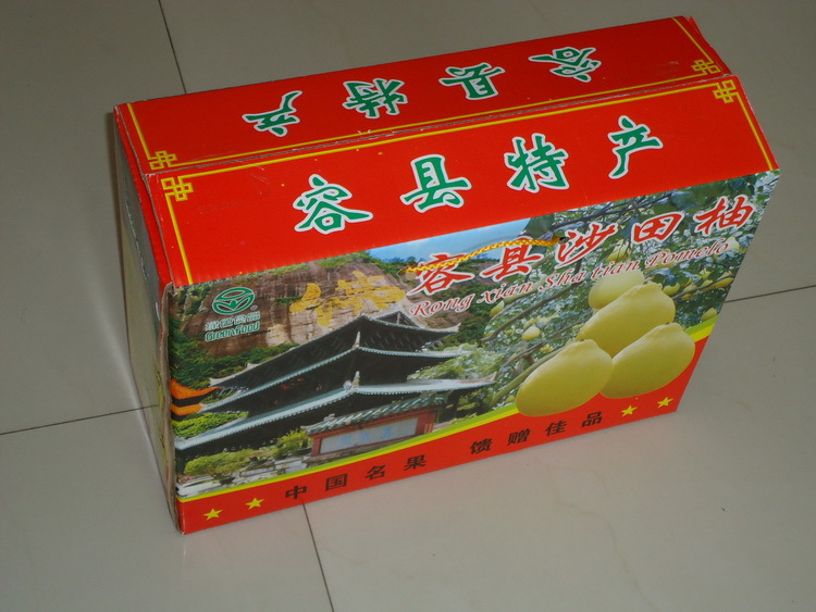 批发容县沙田柚/柚子 正宗产地直销 广西特产 三级品 预订更实惠