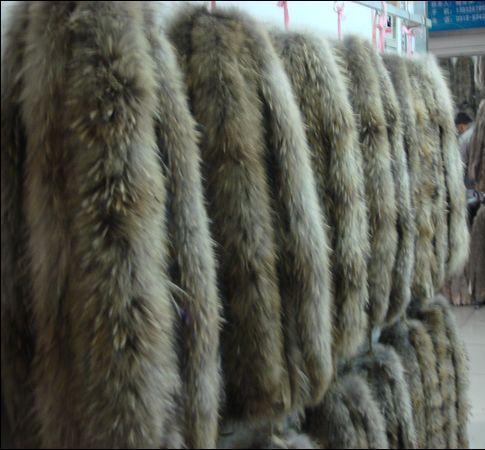 专供貉子毛领,款式新,颜色全,搭配毛衣,棉服,夹克,羽绒服等 _ 专供貉子毛领,款式新,颜色全,搭配毛衣,棉服,夹克,羽绒服等价格报价 _ 河北 南宫市 - 中国供应商