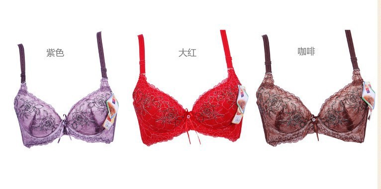 <em>批发</em>采购<em>文胸</em>-黛安芬服饰 <em>雅怡柔</em> 高贵优雅玫瑰